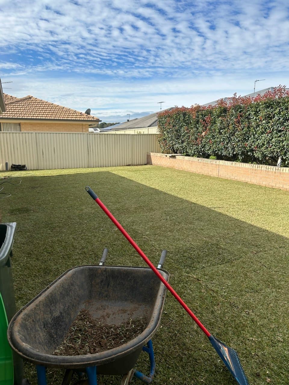 Freshly mown backyard lawn with a clean, even finish and green-waste cleared into the barrow